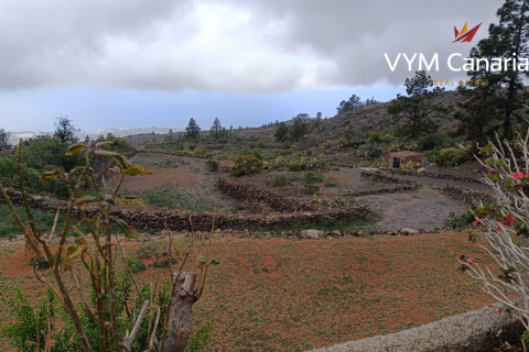Finca à vendre Guia de Isora, Tenerife, Espagne, 1 chambre, 63 m2 No. 138813 - photo 28