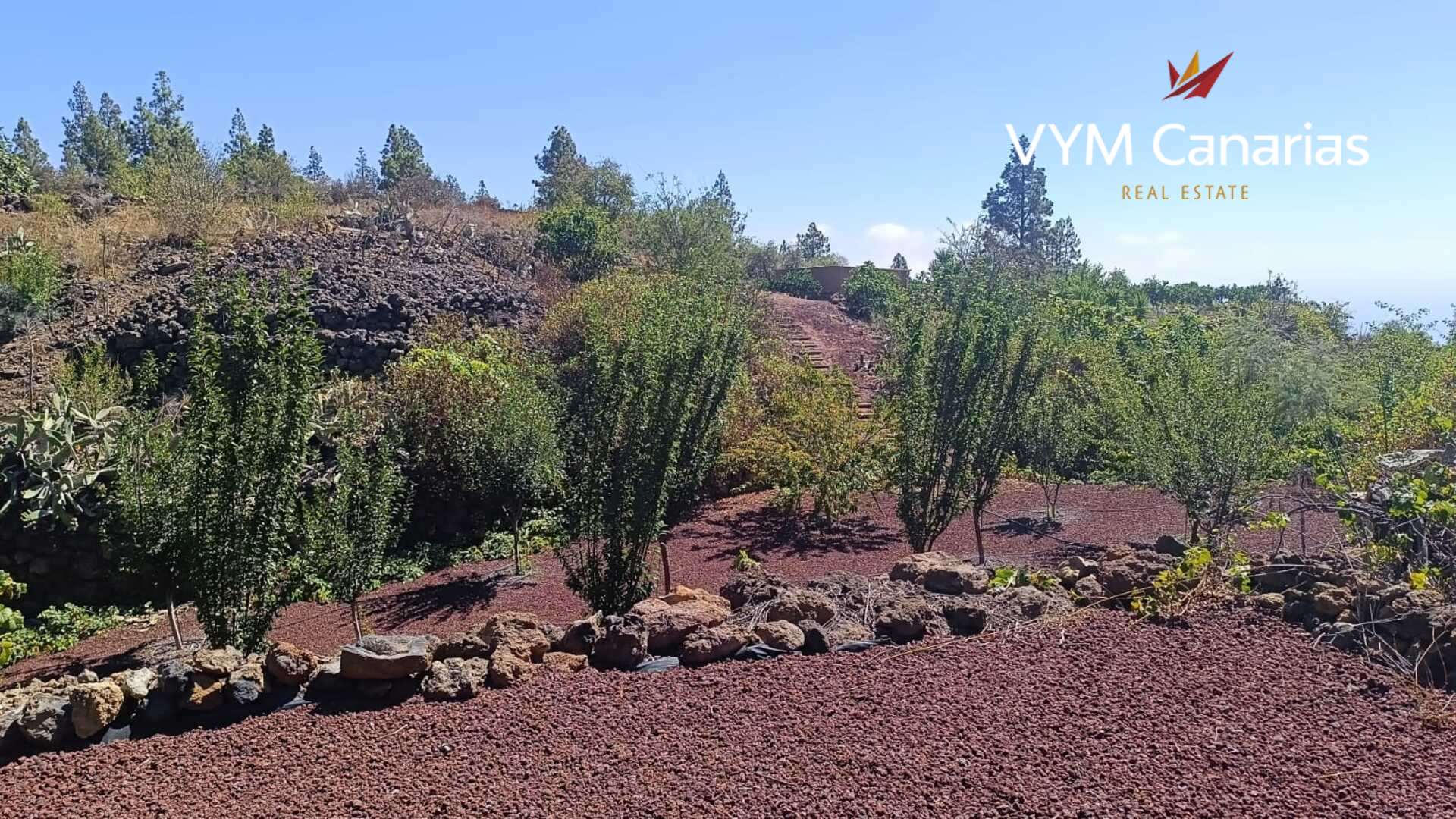Finca en Guía de Isora, Tenerife, España 1 dormitorio, 63 m2 No. 138813