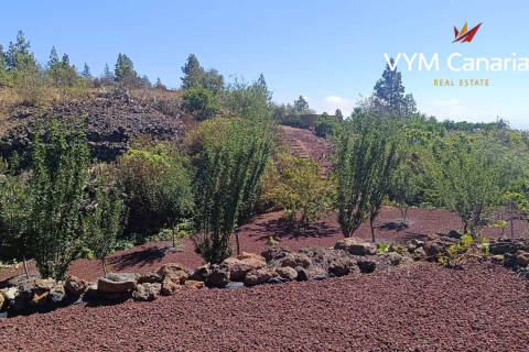 Finca à vendre Guia de Isora, Tenerife, Espagne, 1 chambre, 63 m2 No. 138813 - photo 9