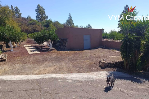 Finca à vendre Guia de Isora, Tenerife, Espagne, 1 chambre, 63 m2 No. 138813 - photo 13