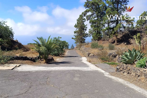 Finca à vendre Guia de Isora, Tenerife, Espagne, 1 chambre, 63 m2 No. 138813 - photo 26