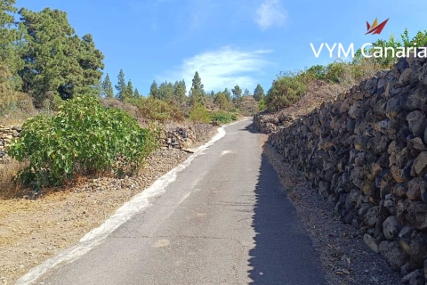 Finca à vendre Guia de Isora, Tenerife, Espagne, 1 chambre, 63 m2 No. 138813 - photo 15
