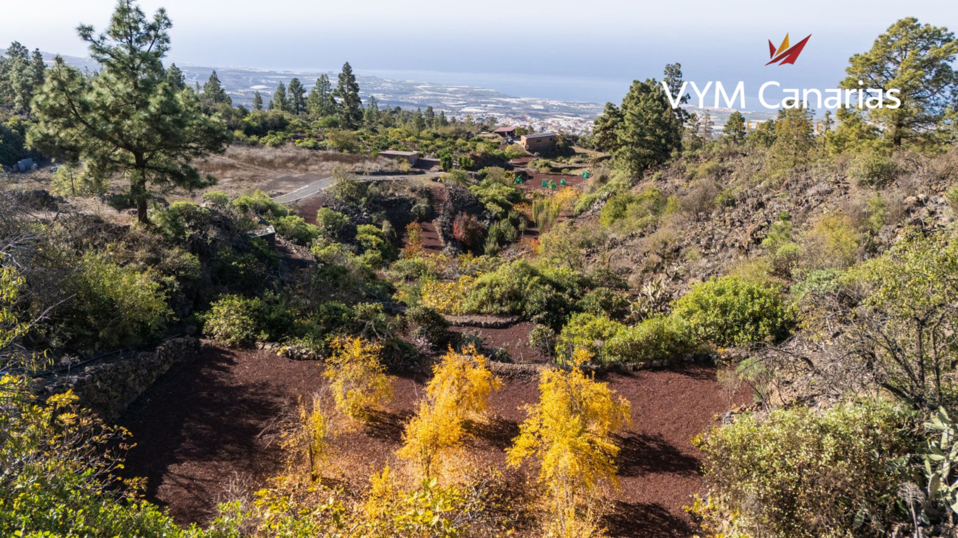 Finca en Guía de Isora, Tenerife, España 1 dormitorio, 63 m2 No. 138813