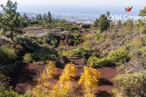 Finca for sale in Guia de Isora, Tenerife, Spain 1 bedroom, 63 sq.m. No. 138813 - photo 26