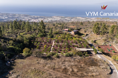 Finca in Guia de Isora, Tenerife, Spanien 1 Schlafzimmer, 63 m2 Nr. 138813