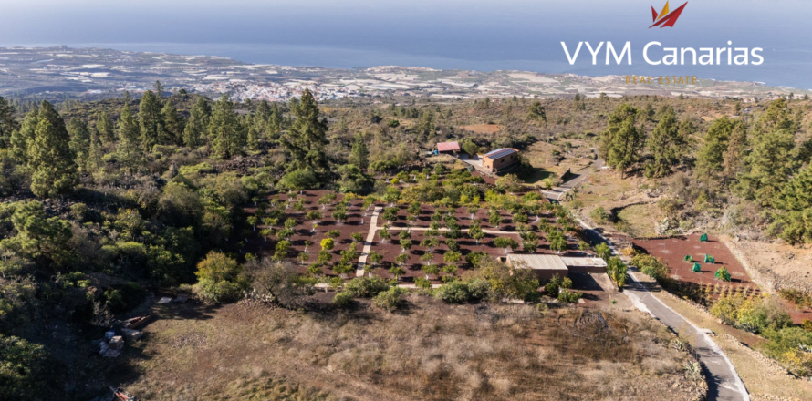 Finca in Guia de Isora, Tenerife, Spain 1 bedroom, 63 sq.m. No. 138813