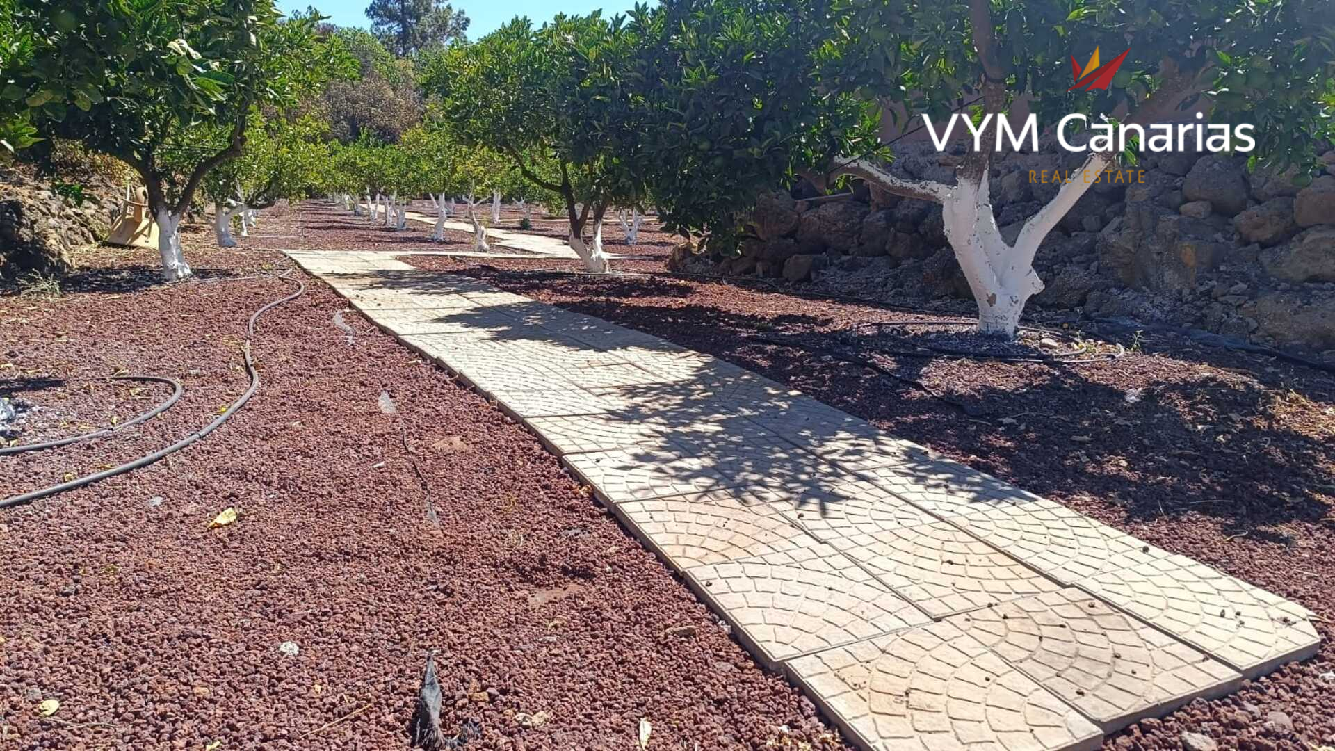 Finca en Guía de Isora, Tenerife, España 1 dormitorio, 63 m2 No. 138813