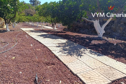 Finca à vendre Guia de Isora, Tenerife, Espagne, 1 chambre, 63 m2 No. 138813 - photo 12