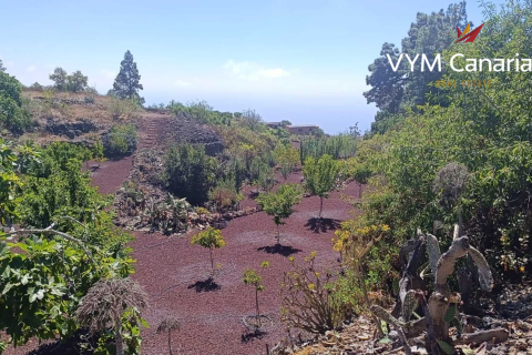 Finca à vendre Guia de Isora, Tenerife, Espagne, 1 chambre, 63 m2 No. 138813 - photo 1