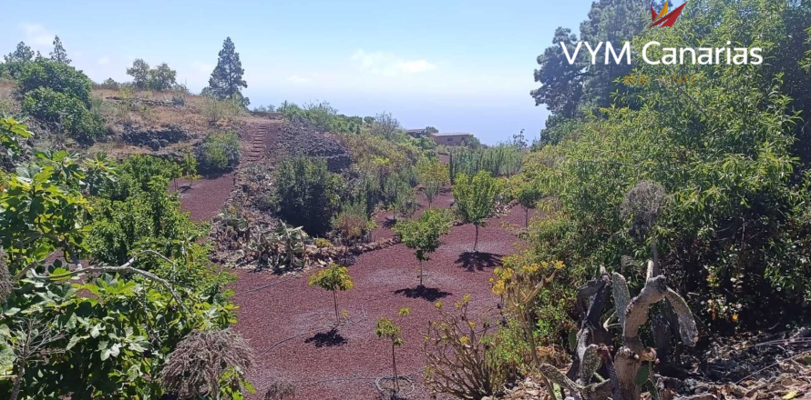 Finca Guia de Isora, Tenerife, Espagne 1 chambre, 63 m2 No. 138813