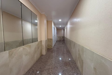 Kattohuoneisto myytävänä Torrevieja, Alicante, Espanja, 2 makuuhuonetta, 77 m2 No. 138817 - kuva 25