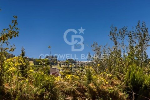 House for sale in Sant Andreu de Llavaneres, Barcelona, Spain 7 bedrooms, 725 sq.m. No. 156955 - photo 15