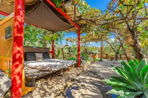 Commercial property for sale San Miguel de Abona, Tenerife, Spain 13 bedrooms, 893 sq.m. No. 111057 - photo 6