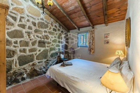 Commercial property for sale San Miguel de Abona, Tenerife, Spain 13 bedrooms, 893 sq.m. No. 111057 - photo 18