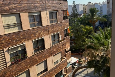 Dzīvoklis pārdošanā Torrevieja, Alicante, Spānijā 3 istabas, Nr. 146847 - attēls 1