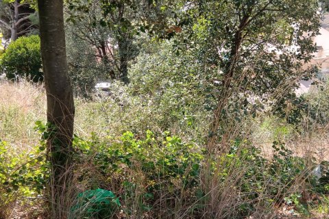 Terreno in vendita a Sant Cebria De Vallalta, Barcelona, Spagna 675 mq. N° 185020 - foto 13