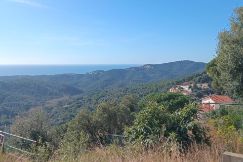 Terreno in vendita a Sant Cebria De Vallalta, Barcelona, Spagna 675 mq. N° 185020 - foto 3