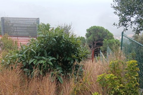 Terreno in vendita a Sant Cebria De Vallalta, Barcelona, Spagna 675 mq. N° 185020 - foto 6