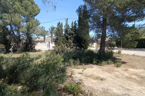 Parcela en venta en L'Ametlla de Mar, Tarragona, España 803 m2 No. 185019 - foto 10