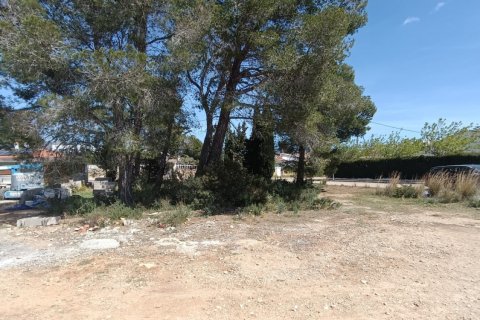 Land plot in L'Ametlla de Mar, Tarragona, Spain 803 sq.m. No. 185019