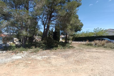 Parcela en venta en L'Ametlla de Mar, Tarragona, España 803 m2 No. 185019 - foto 4