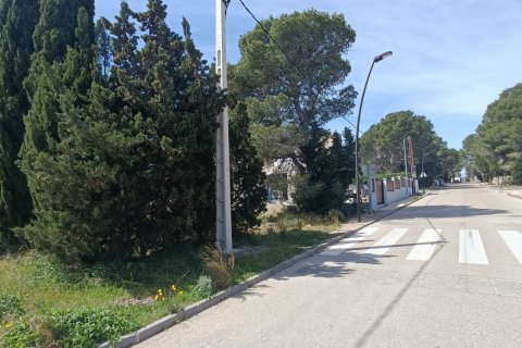 Parcela en venta en L'Ametlla de Mar, Tarragona, España 803 m2 No. 185019 - foto 11