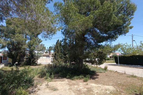 Parcela en venta en L'Ametlla de Mar, Tarragona, España 803 m2 No. 185019 - foto 5