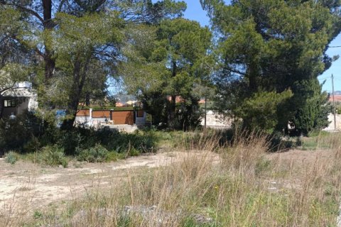 Parcela en venta en L'Ametlla de Mar, Tarragona, España 803 m2 No. 185019 - foto 7