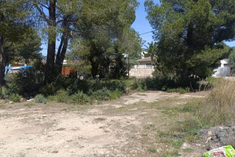 Parcela en venta en L'Ametlla de Mar, Tarragona, España 803 m2 No. 185019 - foto 2