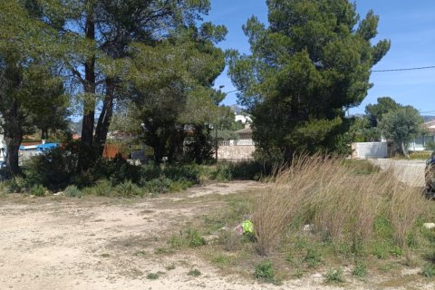 Parcela en venta en L'Ametlla de Mar, Tarragona, España 803 m2 No. 185019 - foto 6