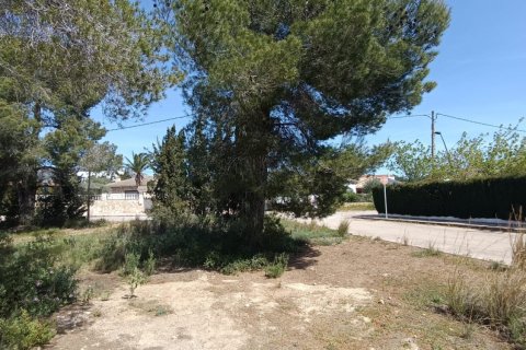 Parcela en venta en L'Ametlla de Mar, Tarragona, España 803 m2 No. 185019 - foto 3
