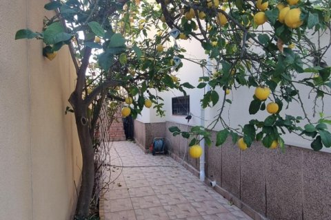 Willa w Los Balcones, Alicante, Hiszpania 4 sypialnie, 240 mkw. nr 165830 – zdjęcie 5