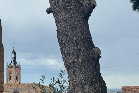 Casa in vendita a Sagunto, Valencia, Spagna 2 camere da letto, 110 mq. N° 165831 - foto 29