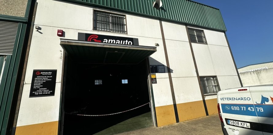 Commercial property in Lepe, Huelva, Spain 314 sq.m. No. 153923