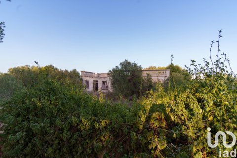 Продажа земельного участка в Сант-Луис, Менорка, Испания 1741м2 №153924 - фото 5