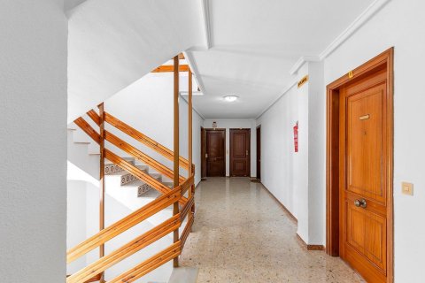 Apartment for sale in La Mata, Alicante, Spain 3 bedrooms, 114 sq.m. No. 184225 - photo 2