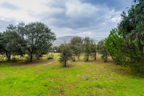 Villa for sale Dominio de Fontenebro, Madrid, Spain 8 bedrooms, 361 sq.m. No. 107073 - photo 3