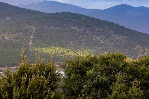 Villa for sale Dominio de Fontenebro, Madrid, Spain 8 bedrooms, 361 sq.m. No. 107073 - photo 6