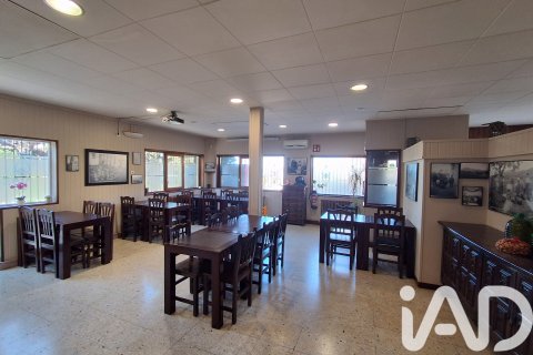 Propiedad comercial en venta en Tivissa, Tarragona, España 981 m2 No. 173007 - foto 18