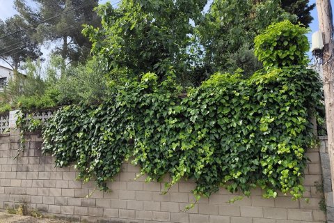 Land plot for sale in Piera, Barcelona, Spain No. 195298 - photo 5