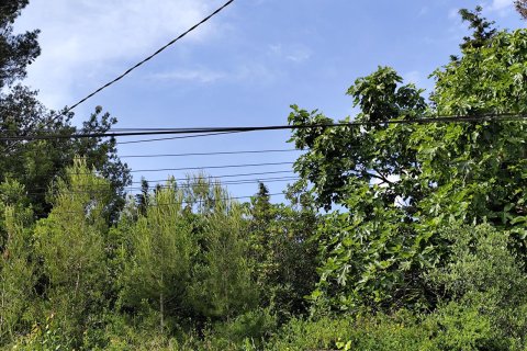 Land plot for sale in Piera, Barcelona, Spain No. 195298 - photo 7