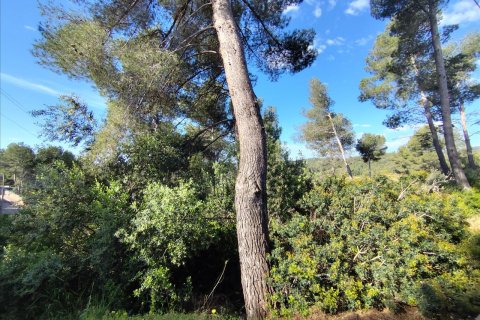 Land plot for sale in Piera, Barcelona, Spain No. 195297 - photo 6