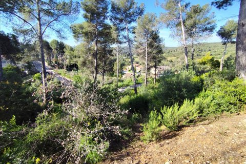 Land plot for sale in Piera, Barcelona, Spain No. 195297 - photo 5
