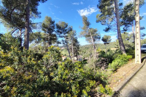 Land plot for sale in Piera, Barcelona, Spain No. 195297 - photo 3