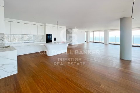Attico in vendita a Barcelona, Spagna 4 camere da letto, 386 mq. N° 159948 - foto 3