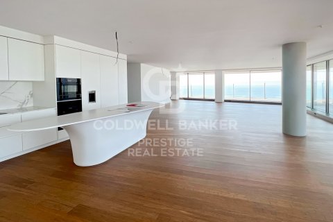 Attico in vendita a Barcelona, Spagna 4 camere da letto, 386 mq. N° 159948 - foto 2