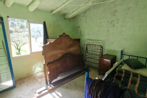 Продажа земельного участка в Раскера, Таррагона, Испания 38548м2 №185571 - фото 23