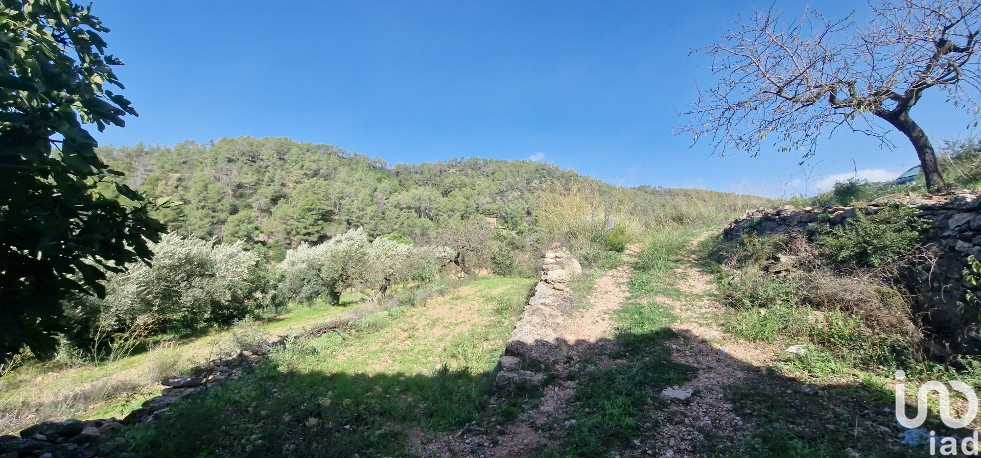 Земельный участок в Раскера, Таррагона, Испания 38548м2 №185571