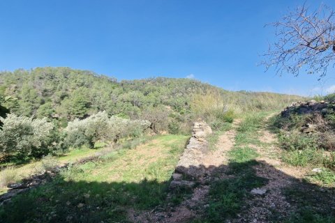 Продажа земельного участка в Раскера, Таррагона, Испания 38548м2 №185571 - фото 13