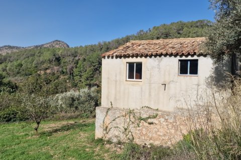 Продажа земельного участка в Раскера, Таррагона, Испания 38548м2 №185571 - фото 9